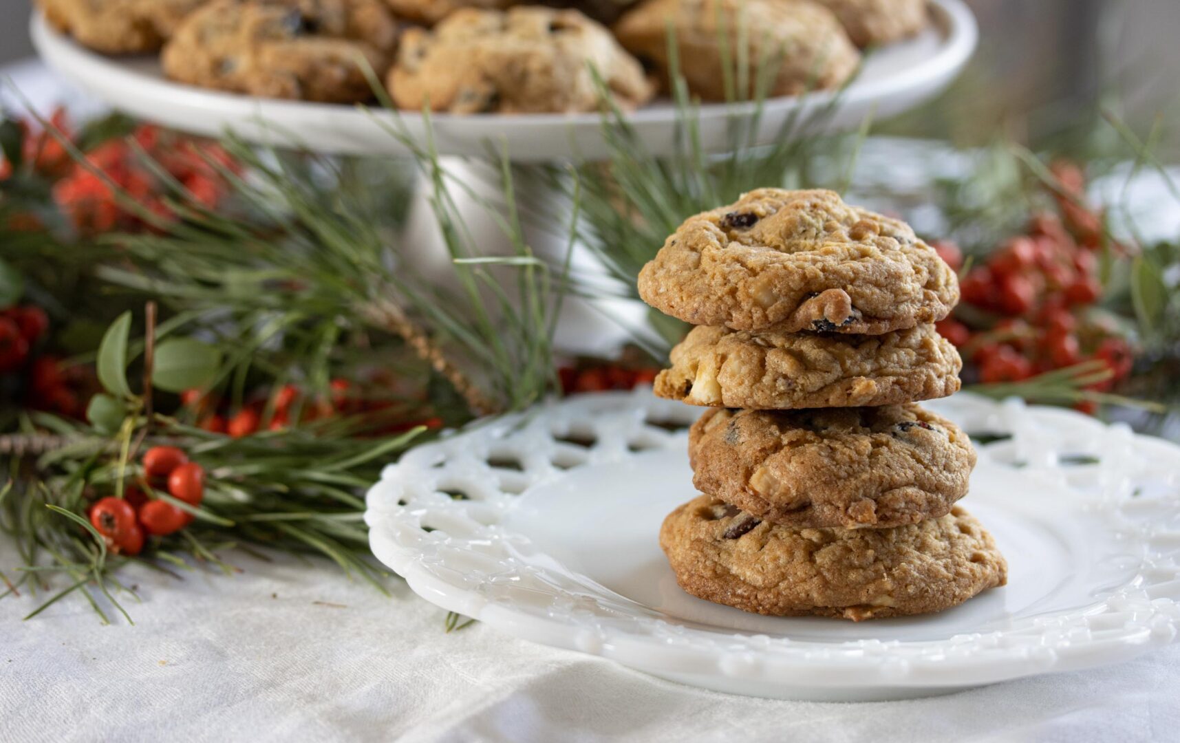 dried cranberry and chocolate cookies dried cranberry and chocolate cookies