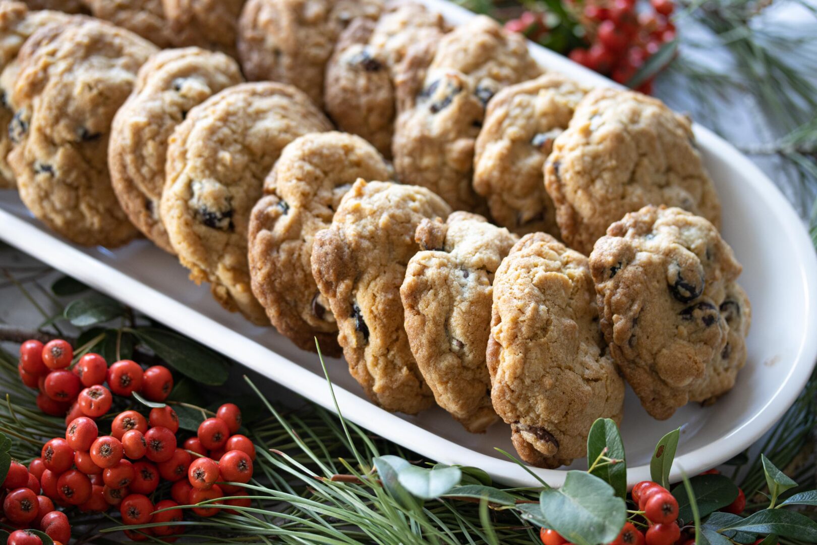 dried cranberry and chocolate cookies dried cranberry and chocolate cookies