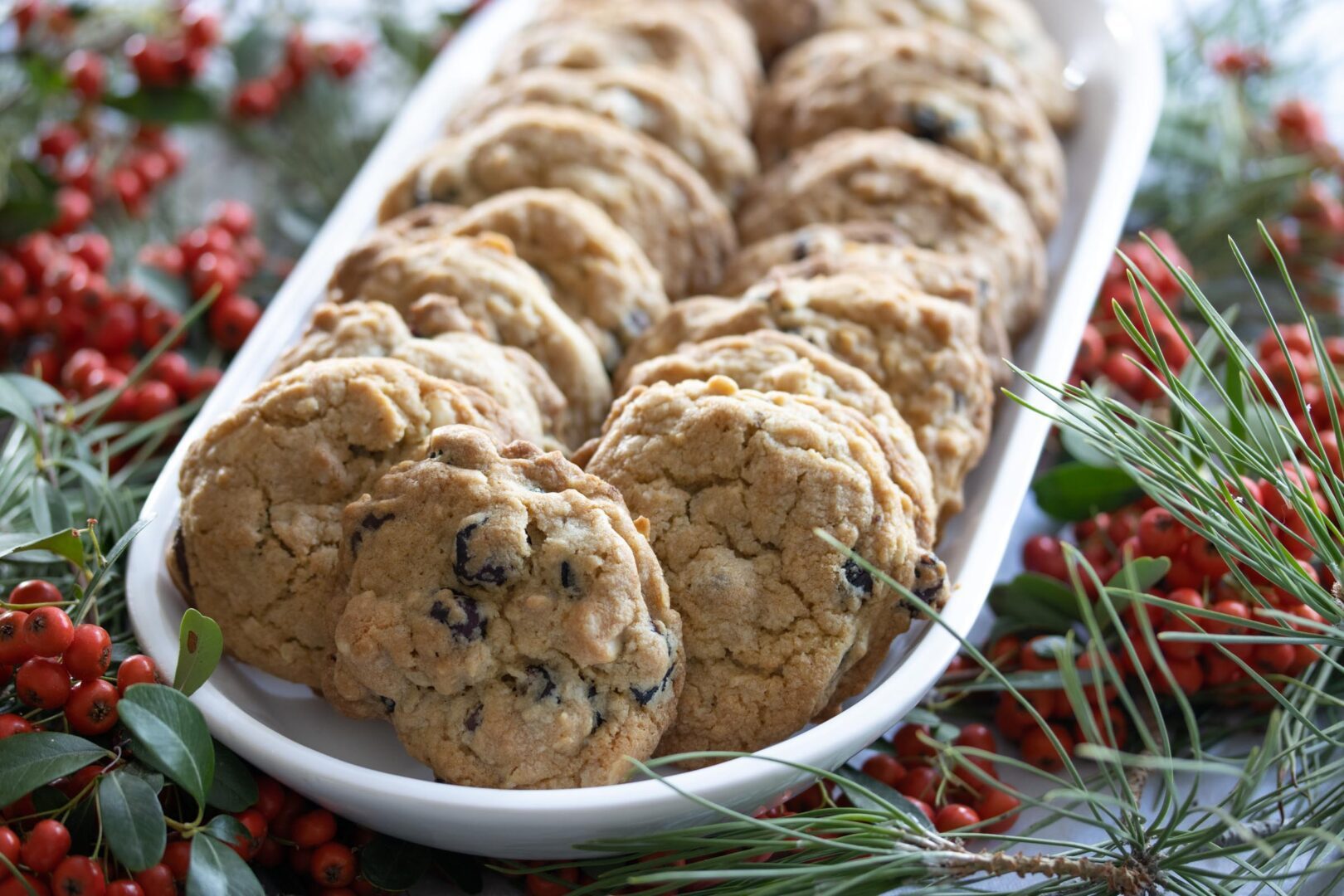 dried cranberry and chocolate cookies dried cranberry and chocolate cookies