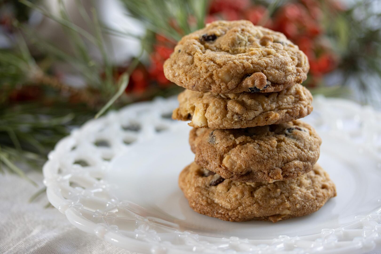 dried cranberry and chocolate cookies dried cranberry and chocolate cookies