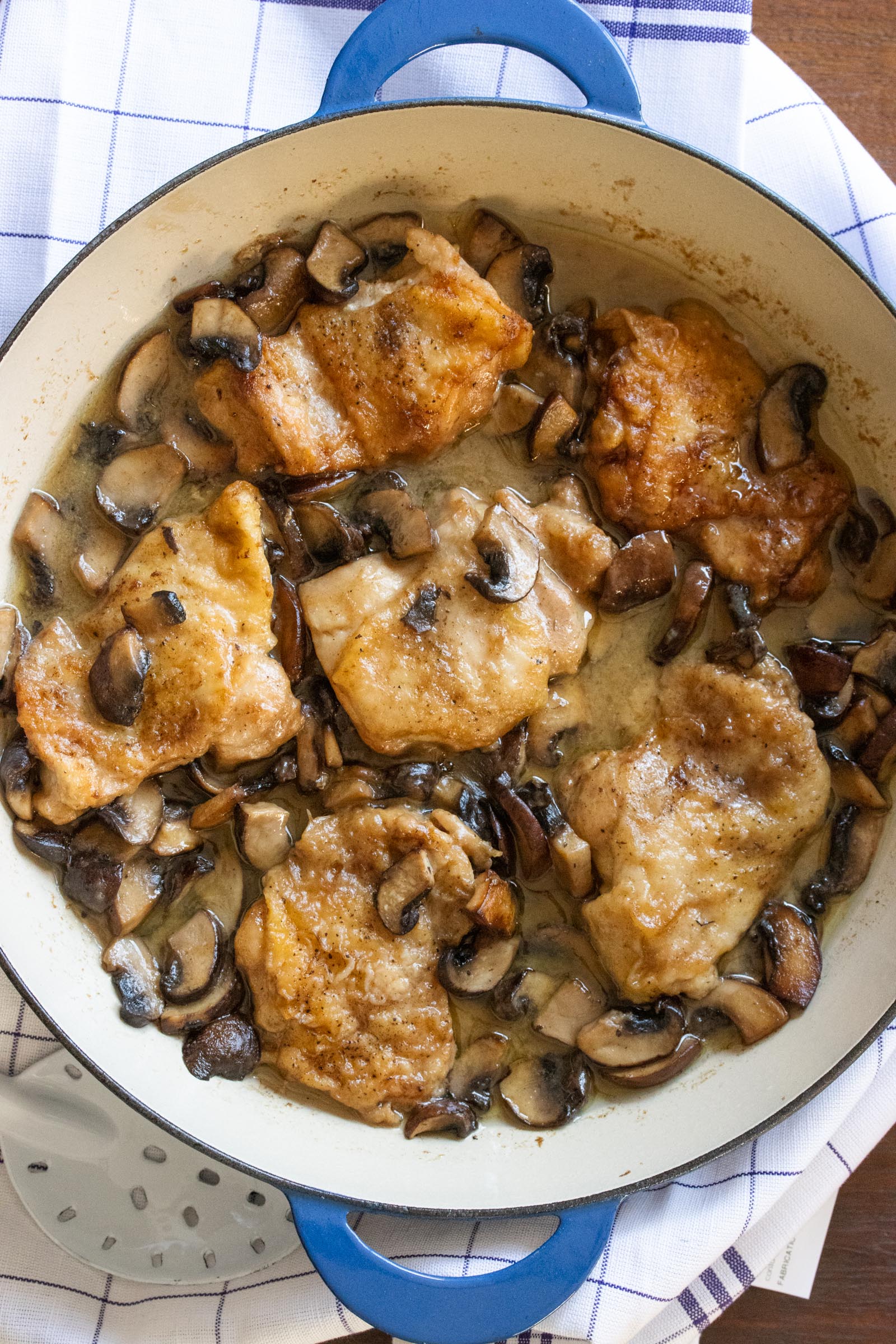 mushroom chicken mushroom chicken