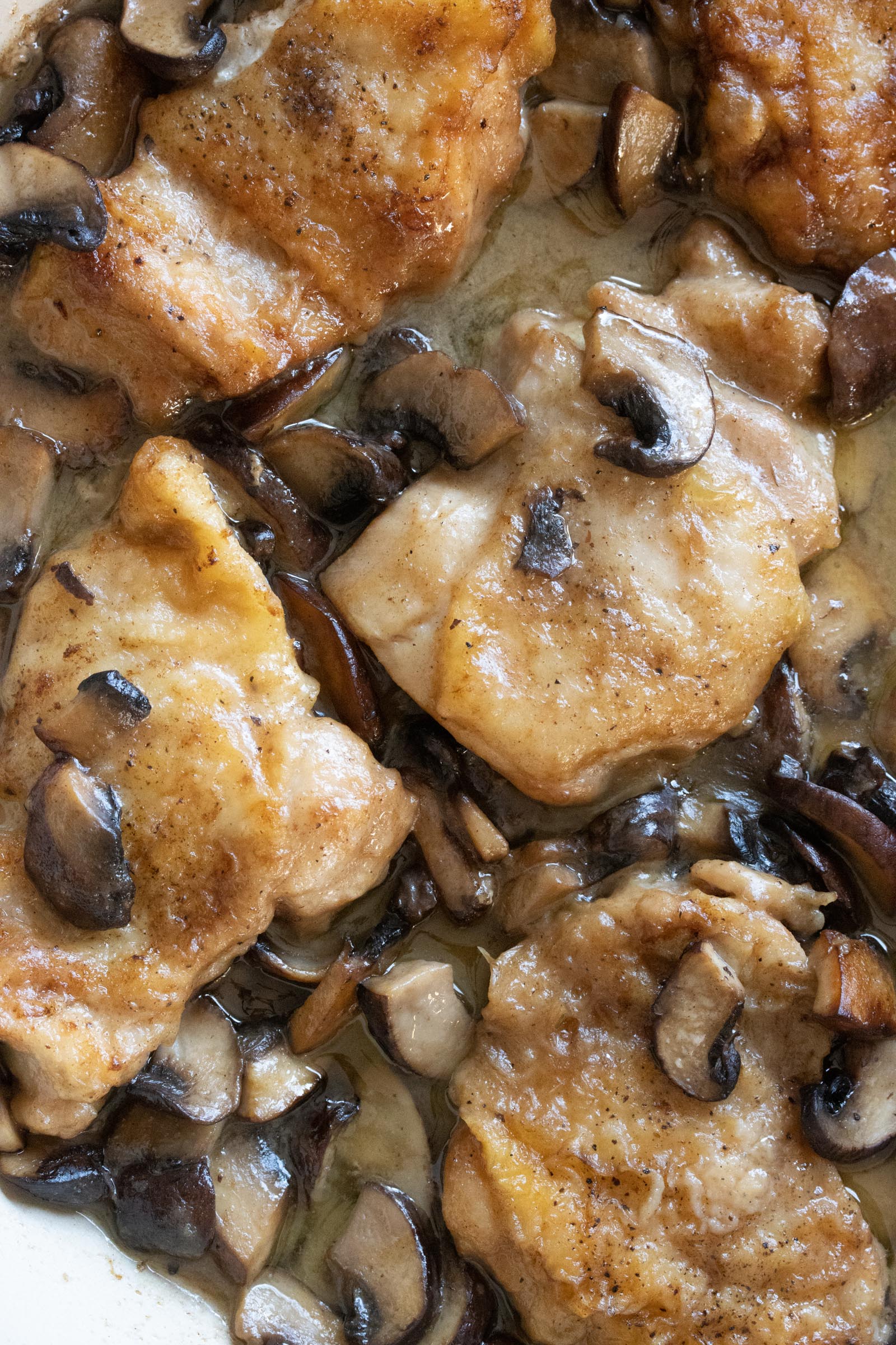 mushroom chicken mushroom chicken