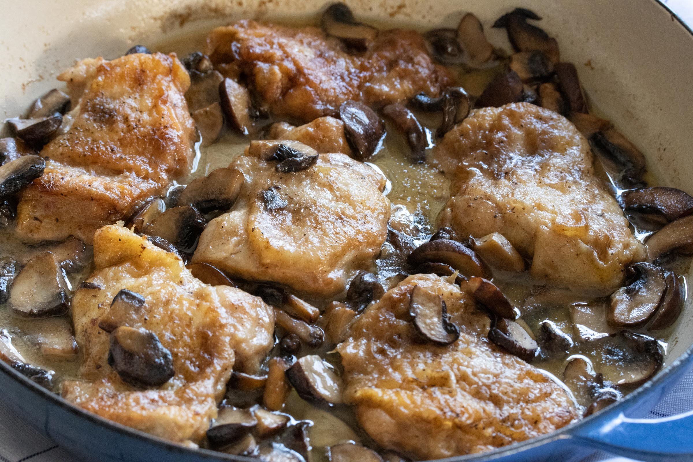 mushroom chicken mushroom chicken