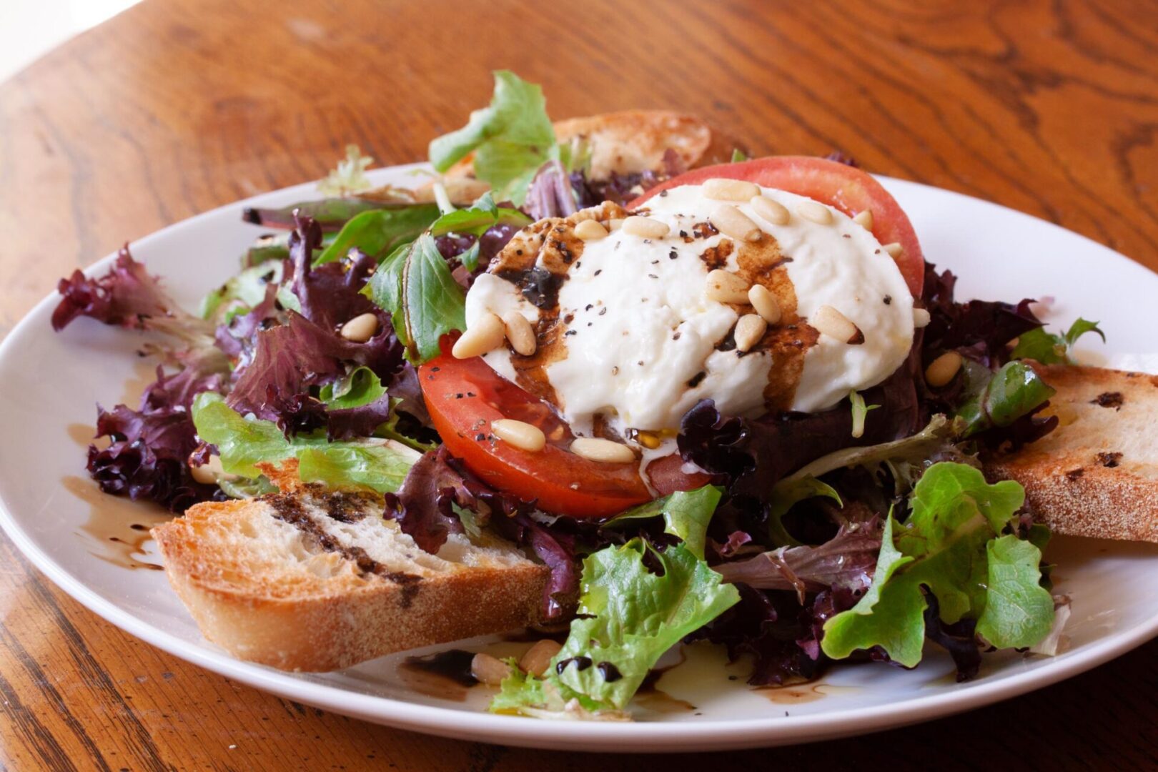 panzanella caprese salad panzanella caprese salad on a white serving plate